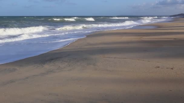 Plaża w Brazylii, fale i wiatr — Wideo stockowe