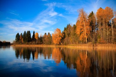 Sonbahar mevsiminde nehrin üzerindeki sarı ağaçların manzarası 