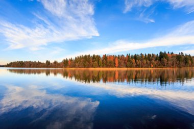 Sonbahar mevsiminde nehrin üzerindeki sarı ağaçların manzarası 