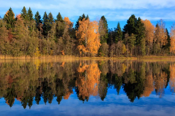 scenic view of yellow trees over river at autumn season