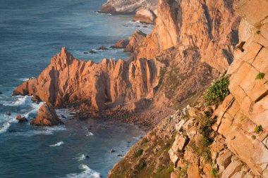 Portekiz Cabo da Roca 'da batan güneş ışınlarıyla kayalıklarda yeşil bitkiler.