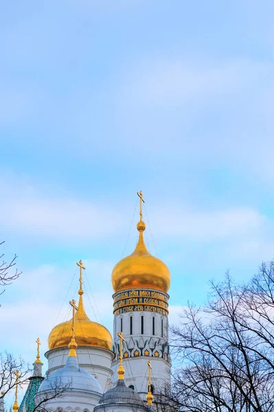Москва Росія Березень 2018 Вежа Івана Великого Белла Куполи Дерева — стокове фото