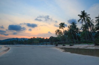 Palmiye ağaçları olan güzel tropikal plaj