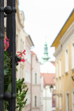 Bratislava, Slovakya - Nisan 2011: çiçekler, eski binalar ve Na vrsku Caddesi 'nden Michael' s Gate manzaralı kule.