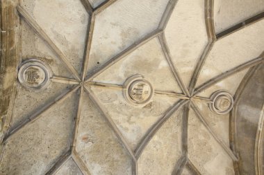 Bratislava, Slovakya - Nisan 2011: Bratislava Kalesi 'nin Tavan Tasarımı.