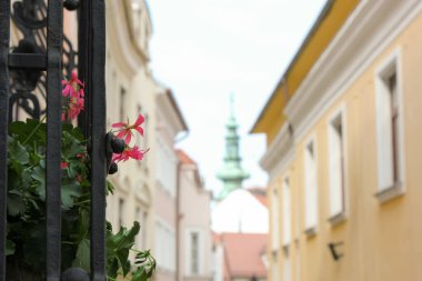 Bratislava, Slovakya - Nisan 2011: çiçekler, eski binalar ve Na vrsku Caddesi 'nden Michael' s Gate manzaralı kule.