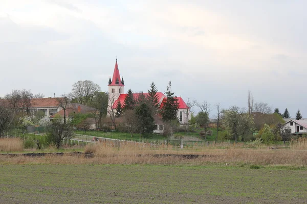 Εκκλησία Στην Πόλη Novgorod Ρωσία — Φωτογραφία Αρχείου