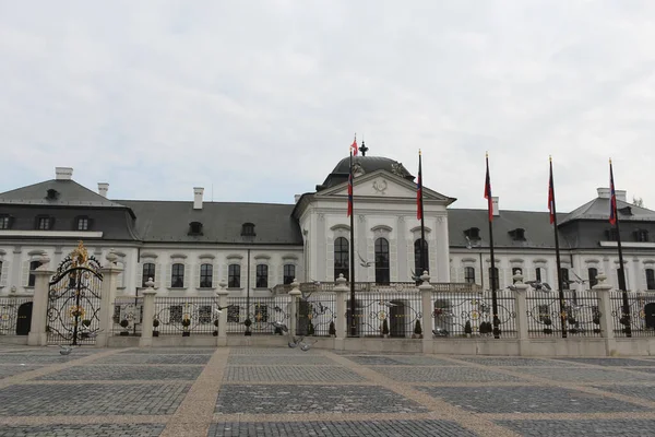 Bratislava Slovensko Duben 2011 Létající Holubi Poblíž Prezidentského Paláce Hodzově — Stock fotografie