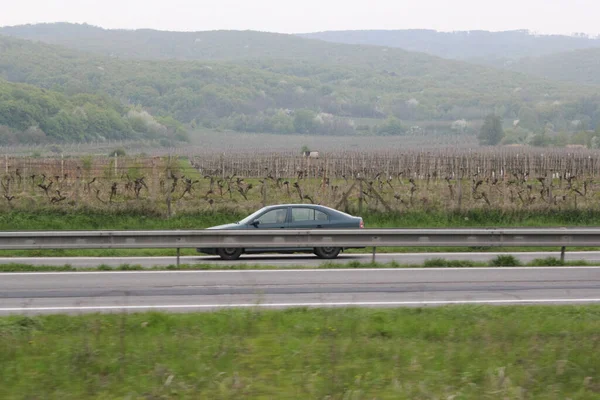 Senkvice Словаччина Квітень 2011 Автомобіль Рухається Дорозі Біля Виноградного Саду — стокове фото