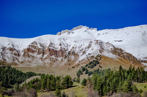 Picturesque View Snow Capped Mountains Pine Trees Stock Picture