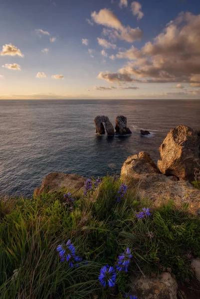 Квіти на краю скель синій морський пейзаж — стокове фото
