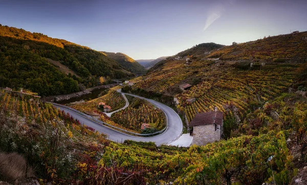 Ribeira Sacra Galicie Španělsko — Stock fotografie zdarma