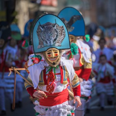 Gigarron, binlerce turistin ilgisini çeken ulusal bir etkinlik olan Verin, İspanya Karnavalı 'nın ana aktörü.