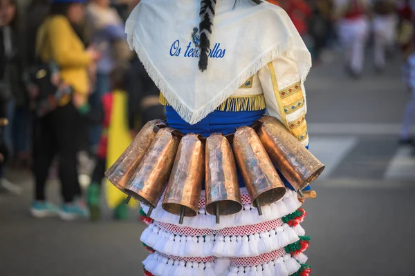 Gigarron Hoofdrolspeler Van Parade Het Carnaval Van Verin Spanje Een — Stockfoto
