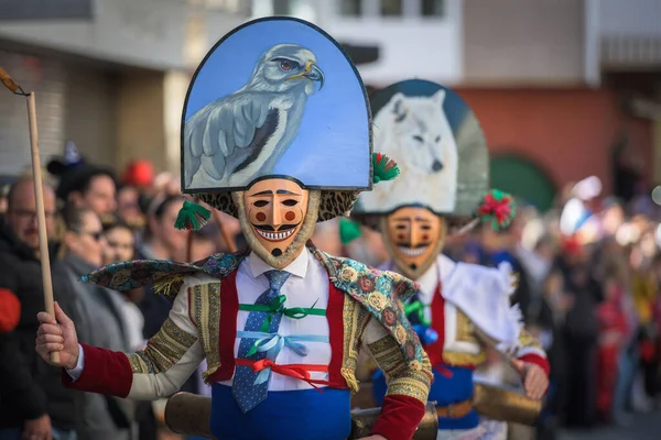 Gigarron Este Principalul Actor Paradei Carnavalul Din Verin Spania Care — Fotografie, imagine de stoc