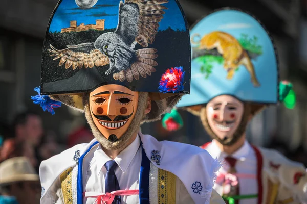 Gigarron Huvudaktören Paraden Karnevalen Verin Spanien Som Ett Evenemang Nationellt — Stockfoto