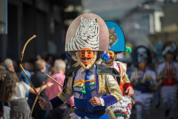 Gigarrón Actor Principal Del Desfile Carnaval Verin España Que Evento — Foto de Stock