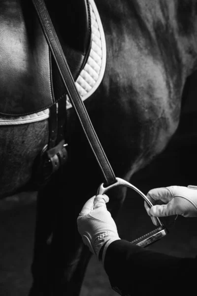 Jockey Ensillar Caballo Pura Sangre Para Doma Carrera Ecuestre Primer — Foto de Stock