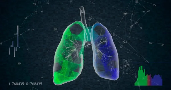 Obrót 360 Nisko Wielokątnych Płuc Model Czarnym Tle Animowanych Rosnących — Zdjęcie stockowe