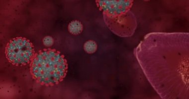 Yüksek konsantrasyon Coronavirus hastalığı Covid-19. Virüs ve kırmızı kan hücrelerinin oluşturduğu animasyon grubu yaklaşıyor. 3B görüntüleme 4k