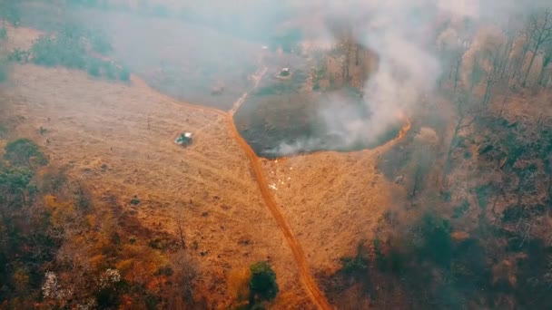 地球温暖化危機 スラッシュと農業を焼きます 気候変動 森林破壊 映像4K — ストック動画