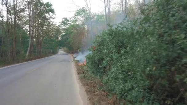 Пожар Возле Дороги Национальном Парке Кризис Изменения Климата Сухая Растительность — стоковое видео