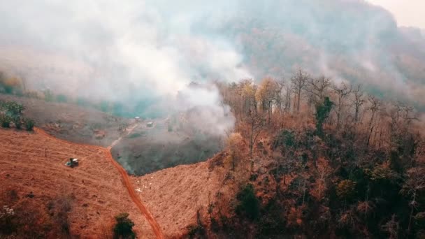 Cultures en feu à la campagne. Couper et brûler la crise agricole. Brume toxique provenant des champs. Vidéo aérienne 4k.