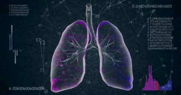 Girando 360 pulmones poligonales bajos modelo 3D sobre fondo negro con números animados. 4k — Vídeo de stock
