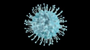 Coronavirus hücreleri. Alpha kanalında solunum enfeksiyonlarına neden olan animasyon virüsü. 3B görüntüleme döngüsü 4k