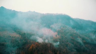 Orman yangını dumanı. Ormanların tahrip edilmesi ve iklim krizi. Yağmur ormanlarındaki yangınlardan kaynaklanan zehirli sis. Hava videosu 4k.