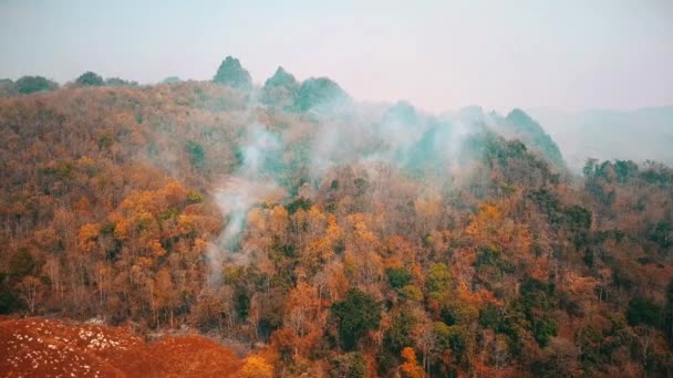 Smog pożarów krzaków. Wylesianie i kryzys klimatyczny. Toksyczna mgła od pożarów lasów deszczowych. Nagranie lotnicze 4k. — Wideo stockowe