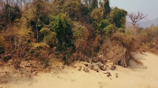気候危機、干ばつながら、乾季。アジアの熱帯雨林の森林破壊。空中ビデオ4k. — ストック動画
