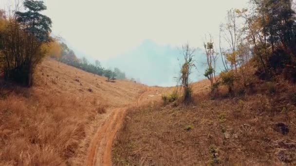 Brännande gröda på landsbygden. Kris inom jordbruk och ekosystem. Giftigt dis från torr vall eld. Flygvideo 4k. — Stockvideo