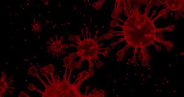Coronavirus hücreleri. Solunum enfeksiyonlarına neden olan bir grup virüs. 3B görüntüleme döngüsü 4k