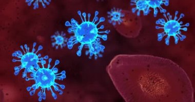 Coronavirus hücreleri. Solunum enfeksiyonlarına neden olan bir grup virüs. 3B görüntüleme döngüsü 4k