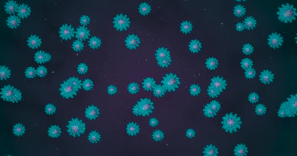 Коронавирусные клетки. Анимационная группа вирусов, вызывающих респираторные инфекции. Цикл 3D рендеринга 4k — стоковое видео