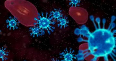 Coronavirus hücreleri. Solunum enfeksiyonlarına neden olan bir grup virüs. 3B görüntüleme döngüsü 4k