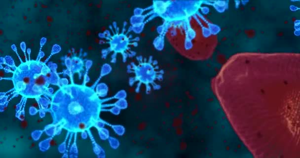 Κύτταρα του Coronavirus. Ομάδα κινουμένων σχεδίων ιών που προκαλούν αναπνευστικές λοιμώξεις. 3D βρόχος απόδοσης 4k — Αρχείο Βίντεο