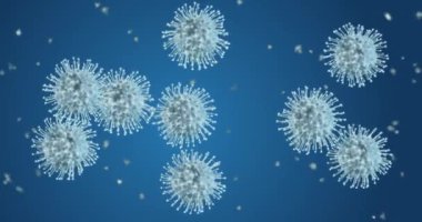 Coronavirus hücreleri. Solunum enfeksiyonlarına neden olan bir grup virüs. 3B görüntüleme döngüsü 4k