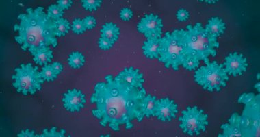 Coronavirus hücreleri. Solunum enfeksiyonlarına neden olan bir grup virüs. 3B görüntüleme döngüsü 4k