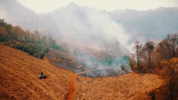 Cultures en feu à la campagne. Couper et brûler la crise agricole. Brume toxique provenant des champs. Vidéo aérienne 4k.