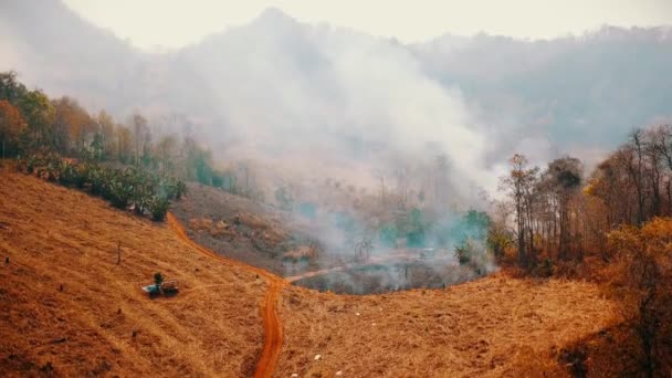 Brennende Ernte auf dem Land. Brandrodung in der Landwirtschaft. Giftiger Dunst von den Feldern. Luftbild 4k. — Stockvideo