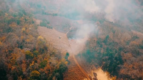 시골에서 작물을 태운다 고요. 농업과 생태계 위기. 건조 한 초원의 불에서 독성 가스가 뿜어 집니다. 공중 비디오 4k. — 비디오