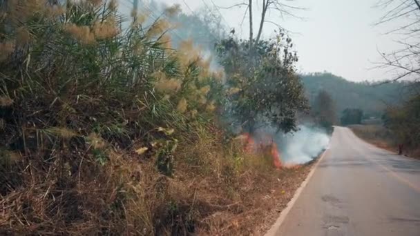 Brennende Ernte auf dem Land. Krise der Landwirtschaft und der Ökosysteme. Giftiger Dunst von trockenem Graslandfeuer. Luftbild 4k. — Stockvideo