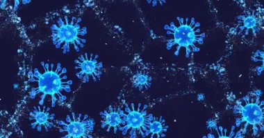 Coronavirus hücreleri COVID-19 bulaşıcı hastalıklar. Hastalığın hızlı yayılması. Yüksek konsantrasyonda koronavirüs. 3B görüntüleme döngüsü 4k