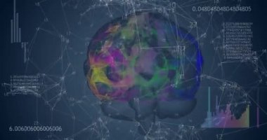 Mavi zemin üzerinde 360 düşük çokgen beyin 3D modeli animasyon numaraları ve diyagramlarla dönüyor. 4k animasyon