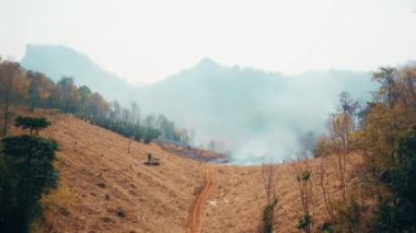 Kırsal kesimde mahsul yakmak. Çiftlik ve ekosistem krizi. Kuru çayır yangınından kaynaklanan zehirli sis. Hava videosu 4k.