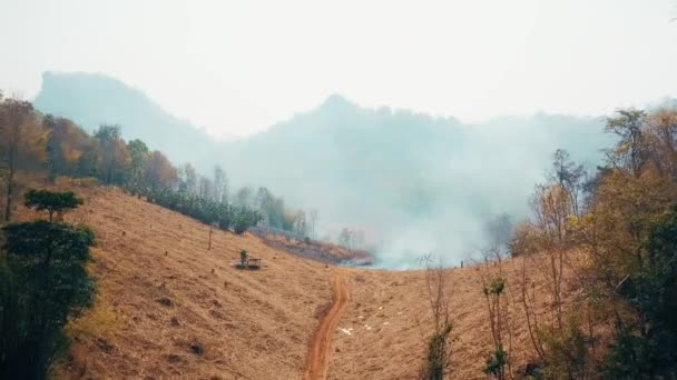 Горящий Урожай Сельской Местности Сельскохозяйственный Экосистемный Кризис Ядовитый Дым Сухого — стоковое видео