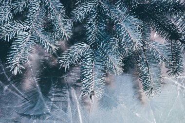 Fotokopi alanı olan köknar ağacı mavisi bir arka plan. Firavun ağacı dalların dokusuna sahiptir. Yeni Yıl Arkaplanı.