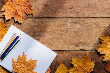 1 Eylül için duvar kağıdı. Ahşap arkaplanda kopyalama alanı olan sonbahar yaprakları.